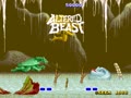 Altered Beast (set 8, 8751 317-0078) - Screen 2