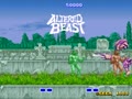 Altered Beast (set 8, 8751 317-0078) - Screen 4