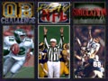 NFL Quarterback Club (USA, Prototype) - Screen 4