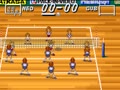 Multi Play Volleyball (Jpn) - Screen 5