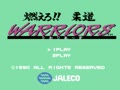 Moero!! Juudou Warriors (Jpn) - Screen 1