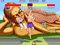 Street Fighter II': Champion Edition (USA 920313) - Screen 5