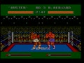 James 'Buster' Douglas Knockout Boxing (USA, Prototype) - Screen 2