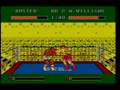 James 'Buster' Douglas Knockout Boxing (USA, Prototype) - Screen 5