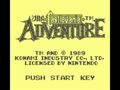 The Castlevania Adventure (USA) - Screen 2