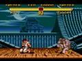 Super Street Fighter II - The New Challengers (bootleg of Japanese MegaDrive version) - Screen 2