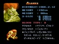 Super Street Fighter II - The New Challengers (bootleg of Japanese MegaDrive version) - Screen 5