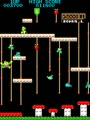 Donkey Kong Jr. (bootleg on Moon Cresta hardware) - Screen 3
