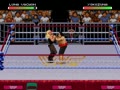 WWF Raw (Euro) - Screen 2