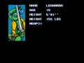 Teenage Mutant Hero Turtles (UK 2 Players, set 2) - Screen 2