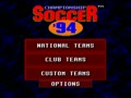 Championship Soccer '94 (USA) - Screen 4