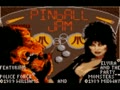Pinball Jam (Euro, USA) - Screen 1