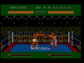 James 'Buster' Douglas Knockout Boxing (USA) - Screen 2