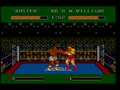 James 'Buster' Douglas Knockout Boxing (USA) - Screen 5