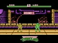Teenage Mutant Hero Turtles - Tournament Fighters (Euro)