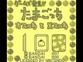 Game de Hakken!! Tamagotchi - Osutchi to Mesutchi (Jpn)