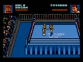 WWF Wrestlemania - Steel Cage Challenge (Euro, Bra) - Screen 4