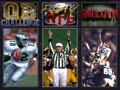 NFL Quarterback Club '95 (Jpn) - Screen 4