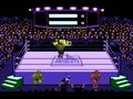 Title Match Pro Wrestling (NTSC) - Screen 2