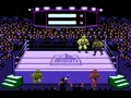 Title Match Pro Wrestling (NTSC)