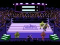 Title Match Pro Wrestling (NTSC) - Screen 4