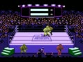 Title Match Pro Wrestling (NTSC) - Screen 5