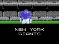 Tecmo Super Bowl (USA) - Screen 2