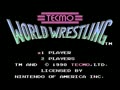 Tecmo World Wrestling (USA) - Screen 1