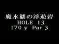 New 3D Golf Simulation - Devil's Course (Jpn, Sample)