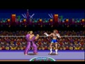 Ultimate Fighter (USA) - Screen 2