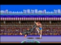 Ultimate Fighter (USA)