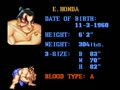 Street Fighter II - The World Warrior (Euro)