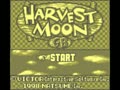 Harvest Moon GB (USA) - Screen 2