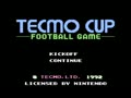 Tecmo Cup - Football Game (Euro) - Screen 2