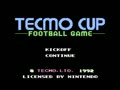 Tecmo Cup - Football Game (Euro) - Screen 3