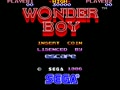 Wonder Boy (315-5162, 4-D Warriors Conversion) - Screen 2