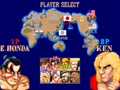 Street Fighter II: The World Warrior (USA 910206) - Screen 5