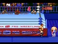 Zen-Nihon Pro Wrestling 2 - 3-4 Budoukan (Jpn) - Screen 2