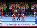 Zen-Nihon Pro Wrestling 2 - 3-4 Budoukan (Jpn) - Screen 5