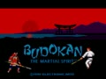 Budokan - The Martial Spirit (Euro)