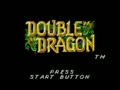 Double Dragon (Euro, USA, Prototype) - Screen 3