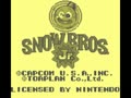 Snow Bros. Jr. (USA) - Screen 2