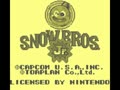 Snow Bros. Jr. (USA)