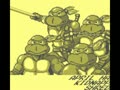 Teenage Mutant Ninja Turtles - Fall of the Foot Clan (USA) - Screen 2