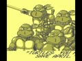 Teenage Mutant Ninja Turtles - Fall of the Foot Clan (USA) - Screen 5