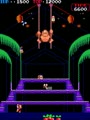Donkey Kong 3 (bootleg on Donkey Kong Jr. hardware) - Screen 2