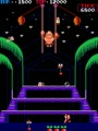 Donkey Kong 3 (bootleg on Donkey Kong Jr. hardware) - Screen 3