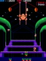 Donkey Kong 3 (bootleg on Donkey Kong Jr. hardware) - Screen 4