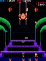 Donkey Kong 3 (bootleg on Donkey Kong Jr. hardware) - Screen 5