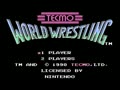 Tecmo World Wrestling (Euro) - Screen 1